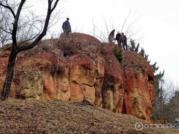 Терренкуры в Кисловодском курортном парке.