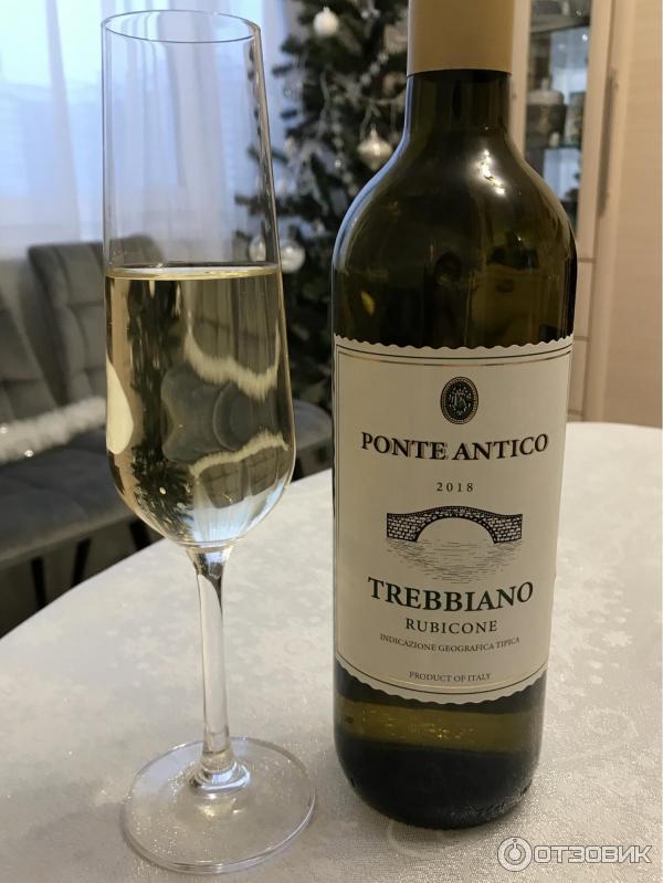 Белое сухое вино треббьяно. Вино Понте Антико белое сухое. Вино Понте Антико Требьяно белое сухое. Ponte Antico Trebbiano Rubicone вино. Вино Понте Антико Треббьяно бел сух.