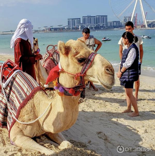 Пляж Dubai Marina beach (ОАЭ, Дубай) фото