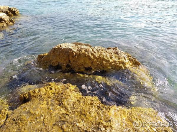 камни и вода рядом с пляжем отеля