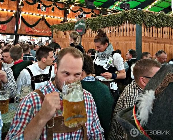 Oktoberfest Argentina в Instagram • Фото и видео