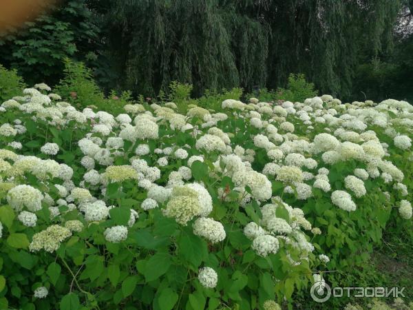 Центральный парк культуры и отдыха им. М. Горького (Казахстан, Алматы) фото