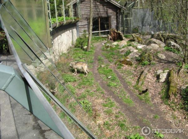 Музей Skansen (Швеция, Стокгольм) фото