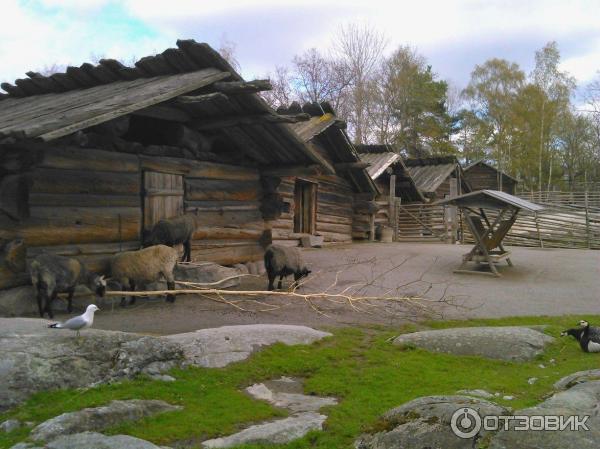 Домашние животные