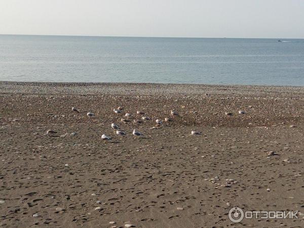 Имеретинская набережная (Россия, Адлер) фото