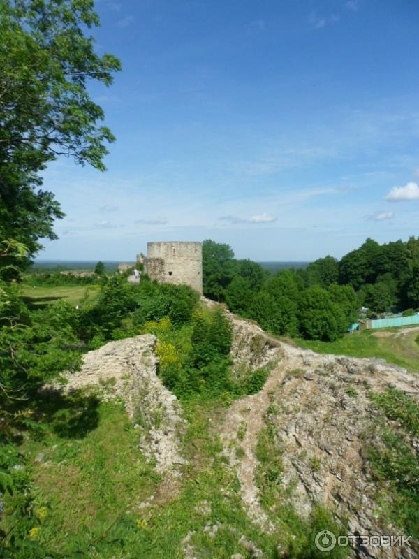 Копорская крепость (Россия, Ленинградская область) фото