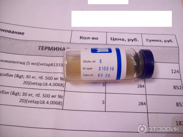 Нуклеопептид 5 Мл Купить В Спб