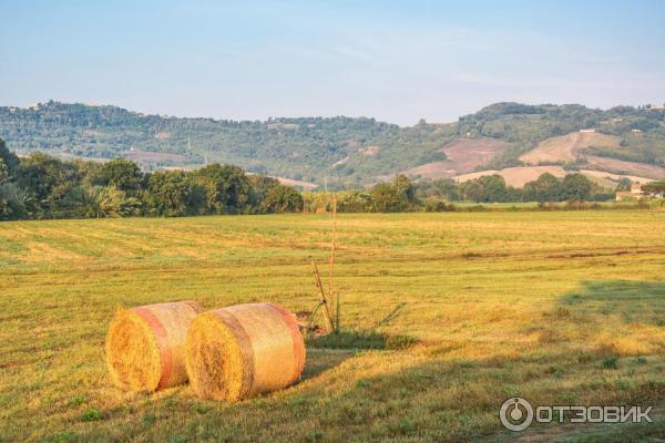 Отдых в Тоскане (Италия) фото