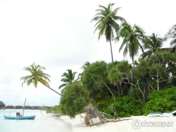 Отель Meeru Island Resort & Spa 4* (Мальдивы) фото