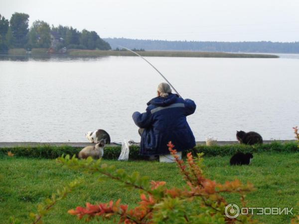 Отдых на озере Селигер (Россия, Тверская область) фото