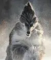 Krivolushen