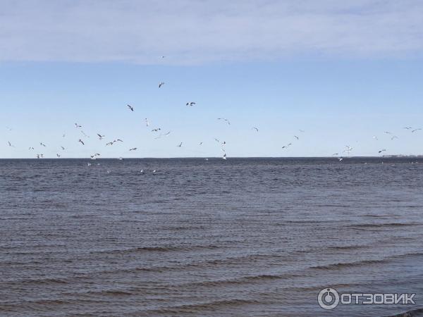 Пляж на о. Ягры (Россия, Северодвинск) фото