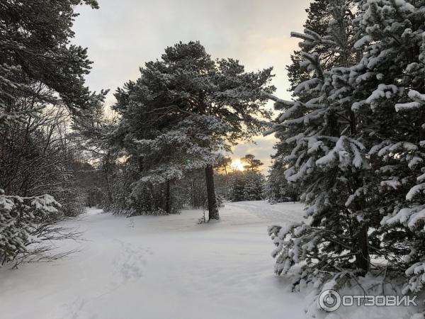 Пляж на о. Ягры (Россия, Северодвинск) фото