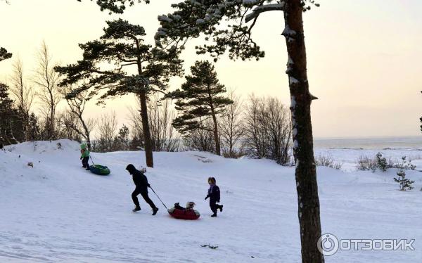 Пляж на о. Ягры (Россия, Северодвинск) фото