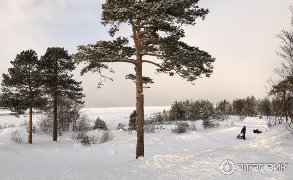 Пляж на о. Ягры (Россия, Северодвинск) фото