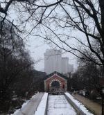 Ботанический сад МГУ (Аптекарский огород) (Россия, Москва) фото