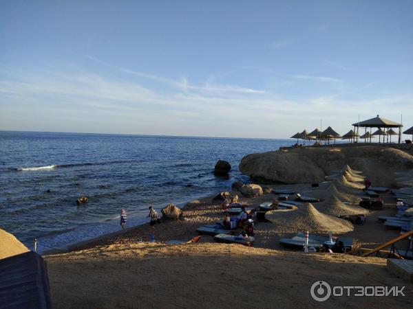 Отель Shores Amphoras 5* (Египет, Шарм-эль-Шейх) фото