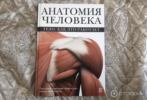 Доска объявлений в Санкт-Петербурге, бесплатные частные объявления