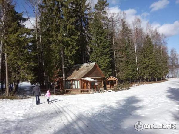 Санаторий Лесное (Беларусь, Витебская область) фото