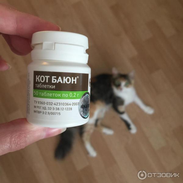 Снотворное для кошек