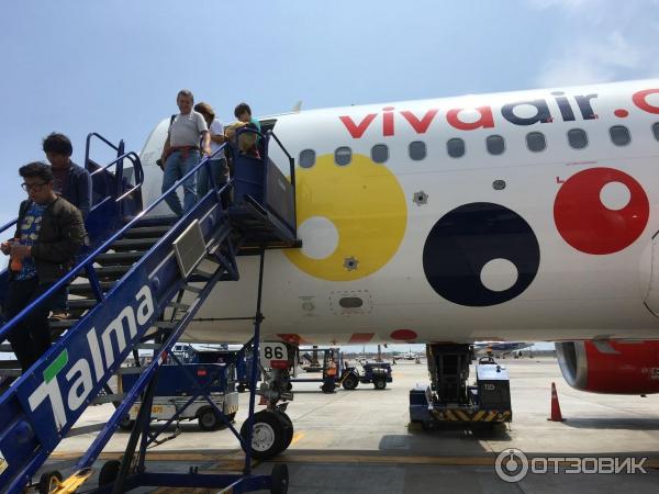 Авиакомпания Viva Air фото