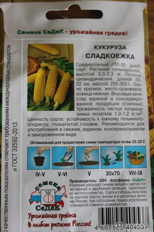 Купить Семена Черной Кукурузы