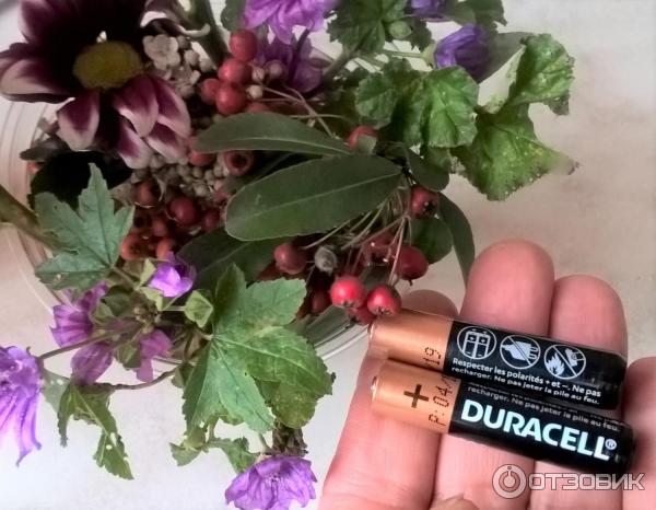 Аккумуляторные батарейки Duracell фото