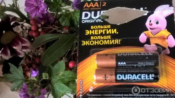 Аккумуляторные батарейки Duracell фото