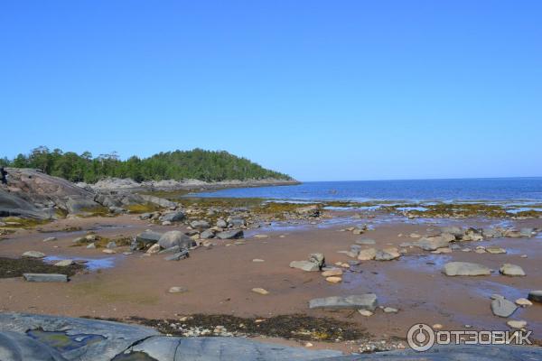 Белое море (Россия, Карелия) фото