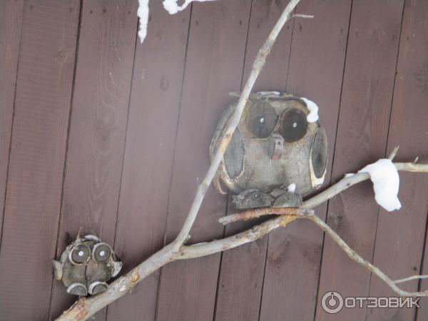 База отдыха Таежная заимка Лесная сказка (Россия, Белокуриха) фото