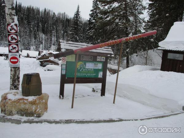 База отдыха Таежная заимка Лесная сказка (Россия, Белокуриха) фото