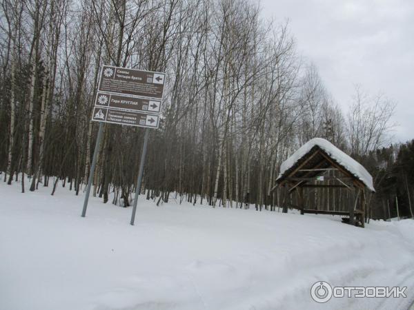 База отдыха Таежная заимка Лесная сказка (Россия, Белокуриха) фото