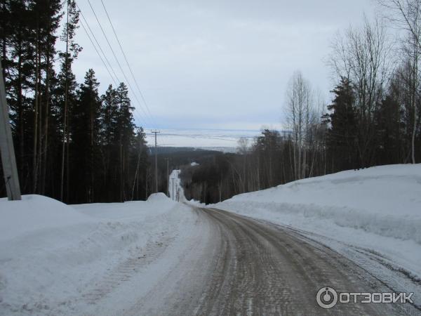 База отдыха Таежная заимка Лесная сказка (Россия, Белокуриха) фото