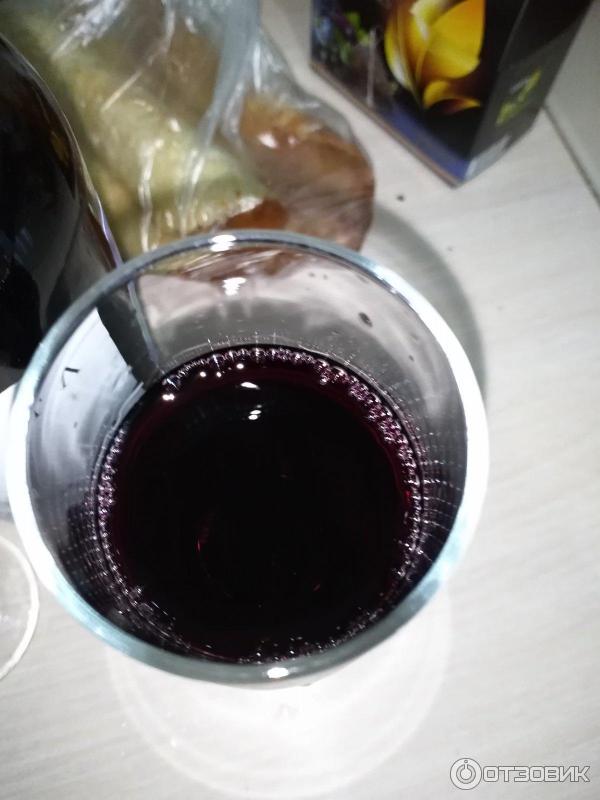 Вино Barista Pinotage Купить В Спб