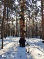 Санаторий "Сибиряк" (Россия, Бердск) фото