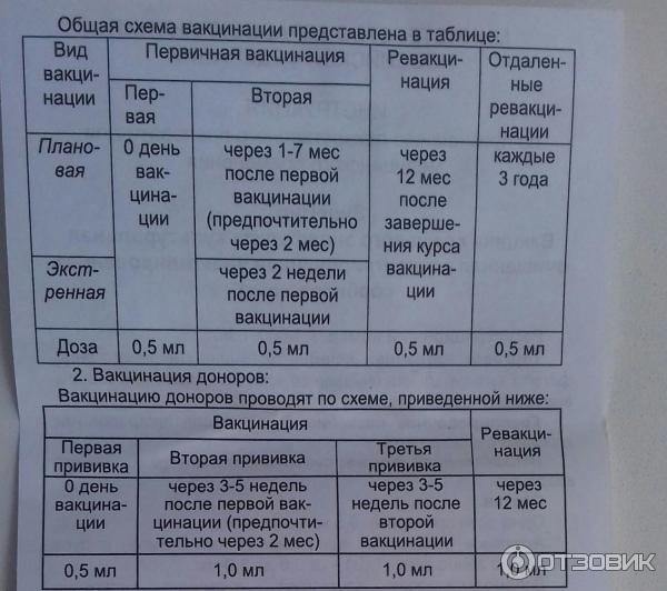 Энцевир схема вакцинации взрослым. Вакцинация от энцефалита схема взрослым. Схема прививок клещевого энцефалита. Прививки клещевой энцефалит. Ревакцинация от клещевого энцефалита сроки.