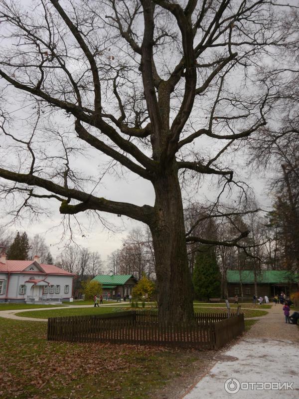 Музей-заповедник Абрамцево (Россия, Сергиево-Посадский район) фото