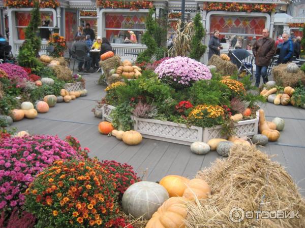 фестиваль Золотая осень, Москва