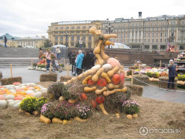 фестиваль Золотая осень, Москва