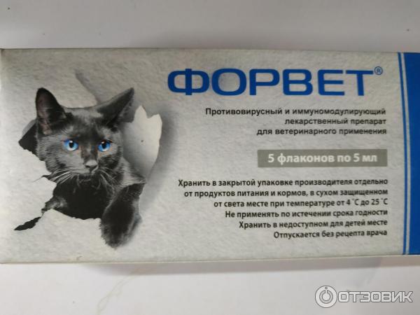 Противовирусные для кошек препараты