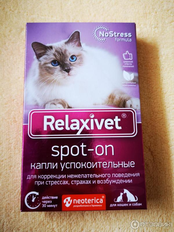 Успокоительное для котов