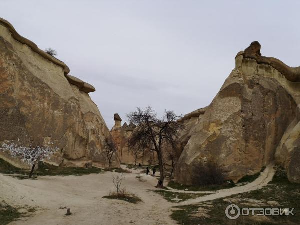 Долина Пашабаг (Турция, Каппадокия) фото