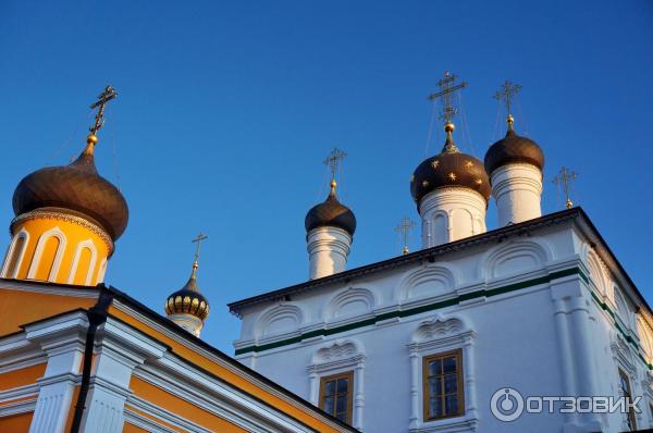 Мужской монастырь Вознесенская Давидова пустынь (Россия, Чехов) фото