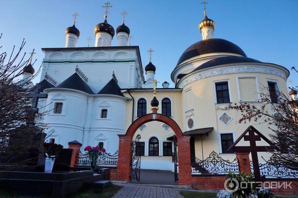 Мужской монастырь Вознесенская Давидова пустынь (Россия, Чехов) фото