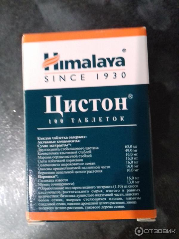 Цистон для кошек