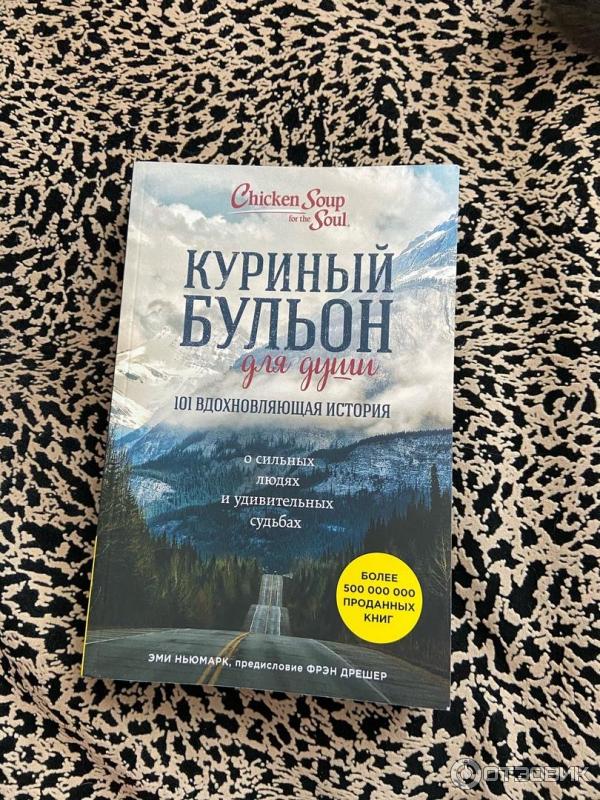 Книга Куриный бульон для души 101 вдохновляющая история - Эми Ньюмарк фото