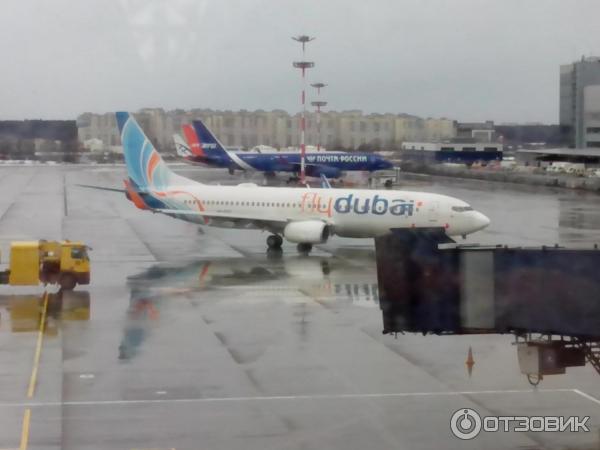 Рейс FZ 968 flydubai. Fz968 flydubai какой самолет.