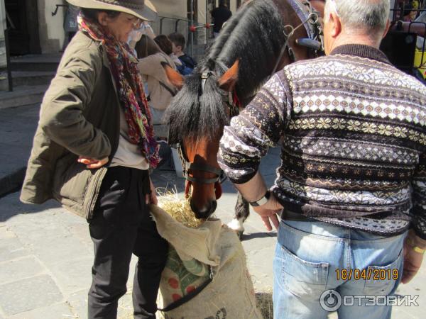 Отдых во Флоренции (Италия, Флоренция) фото