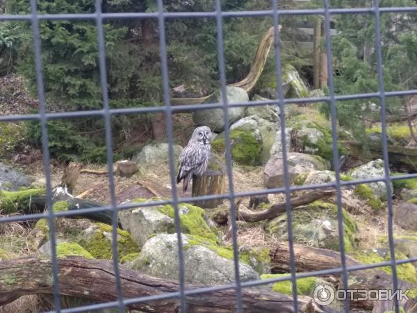 Музей Skansen (Швеция, Стокгольм) фото