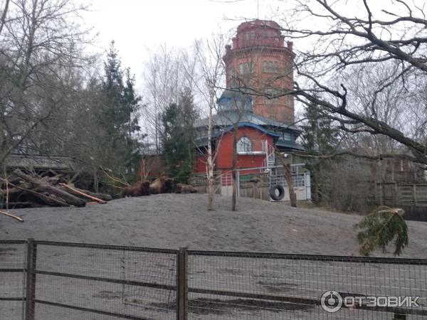 Музей Skansen (Швеция, Стокгольм) фото